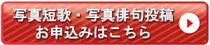 写真短歌・写真俳句投稿申込み