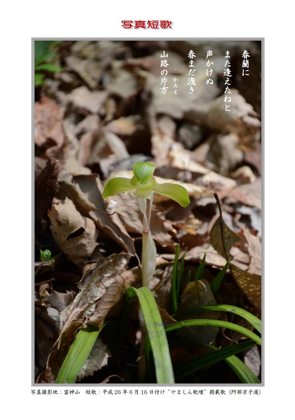 春蘭にまた逢えたねと声かけぬ春まだ浅き山路の片方　