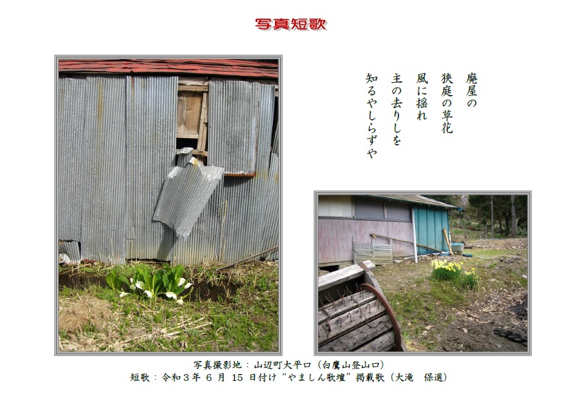 作品番号-４０：廃屋の狭庭の草花風に揺れ主の去りしを知るやしらずや